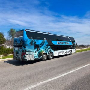 cursa Franta Romania